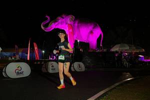 BIB: 
                            <button type="button" onclick="openModal(26542976)" class="btn btn-primary btn-sm float-right btn-popup" data-toggle="modal" data-target=".modal-high-quality">
                        <i class="fas fa-shopping-cart"></i> Add to Cart
                    </button>
                                            <button type="button" onclick="isThisMe(26542976, true)" class="btn btn-success btn-sm float-right btn-popup btn-isme hidden" data-toggle="tooltip" data-placement="bottom" title="นี่คือรูปของคุณใช่ไหม คลิกที่นี่เพื่อเอาเข้าอัลบั้ม">
                        <i class="fas fa-plus"></i> Add to album
                    </button>
                    <button type="button" onclick="isThisMe(26542976, false)" class="btn btn-warning btn-sm float-right btn-popup btn-isnotme hidden">
                        <i class="fas fa-ban"></i> Remove from album
                    </button>